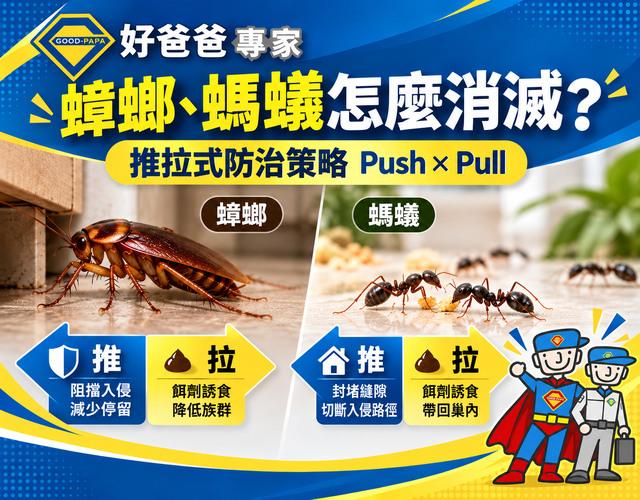 蟑螂、螞蟻怎麼消滅？推拉式防治策略與餌劑、噴霧正確用法