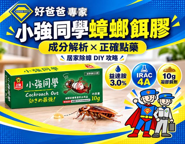 小強同學蟑螂餌膠有效嗎?成分、用法與除蟑技巧