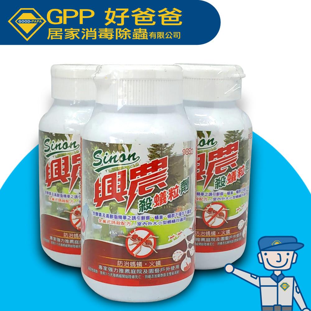 【僅剩15組｜賣完就沒】 螞蟻團滅組合包